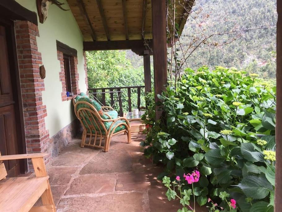 Acebos De Pena Cabarga, Cupula Experiencias Appartement *