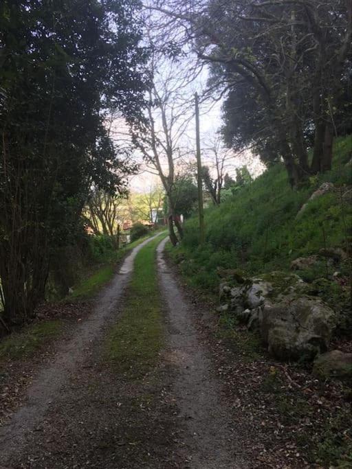 Acebos De Pena Cabarga, Cupula Experiencias * Sobremazas
