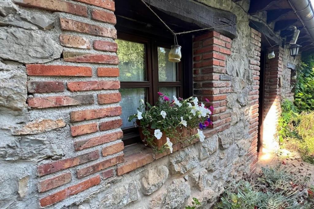 Appartement Acebos De Pena Cabarga, Cupula Experiencias