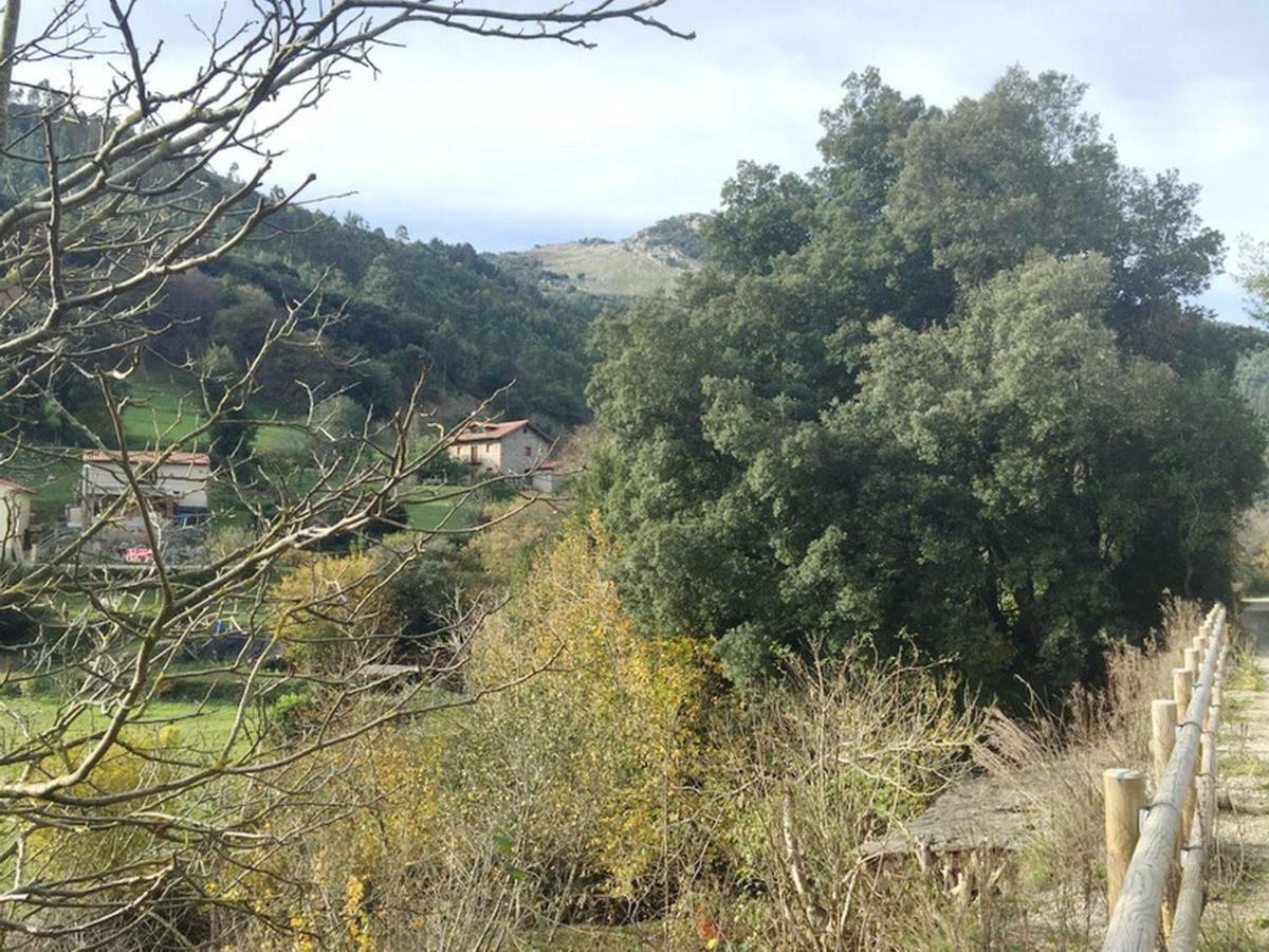 Acebos De Pena Cabarga, Cupula Experiencias